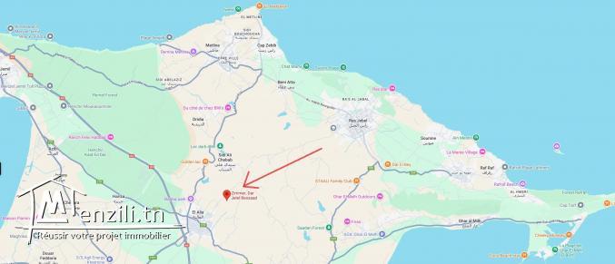 Propriété Écologique d’Exception à El Alia – Idéale pour une Maison d’Hôtes.