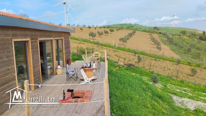 Propriété Écologique d’Exception à El Alia – Idéale pour une Maison d’Hôtes.