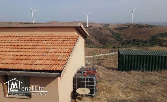 Propriété Écologique d’Exception à El Alia – Idéale pour une Maison d’Hôtes.