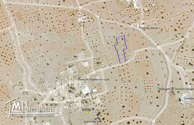 Terrain 2260 m2 à Menzel BEN HAMMOUDA -   منزل بن حمودة Jaabira- Djerba.