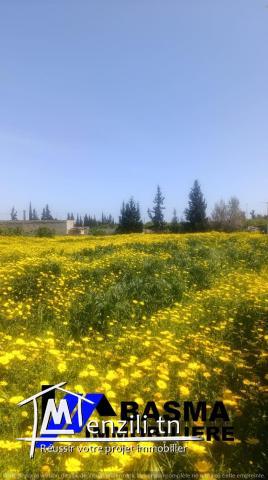 Une ferme de un hectare et 3000m² à vendre situé à kalaa kbira en derrière dar zitouna