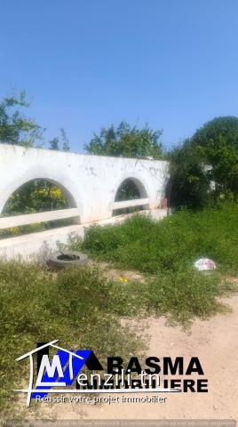 Une ferme de un hectare et 3000m² à vendre situé à kalaa kbira en derrière dar zitouna