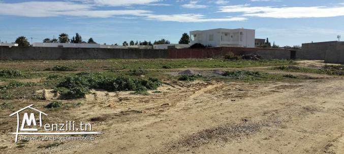 Lots de Terrain à Bejaoua 1 Oued-Ellil