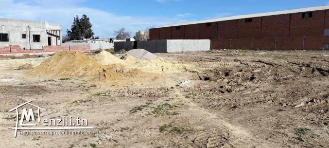 Lots de Terrain à Bejaoua 1 Oued-Ellil