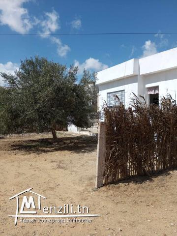 A vendre a kelibia studio avec terrain