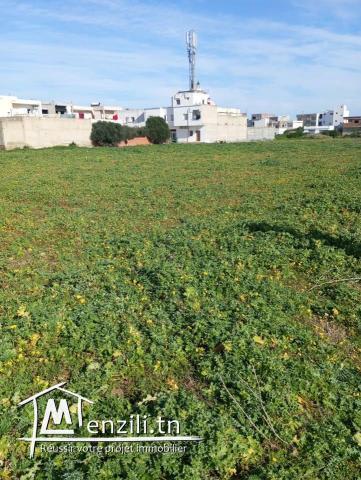 un terrain constructible centre ville dar allouche kélibia