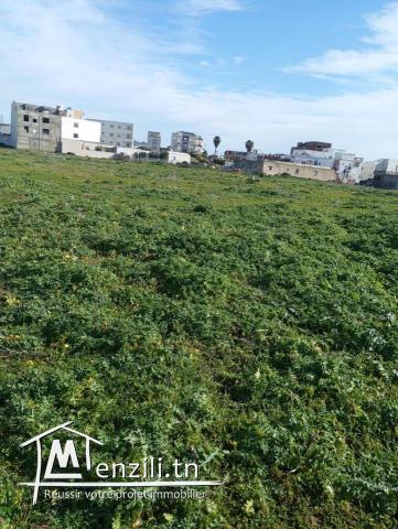 un terrain constructible centre ville dar allouche kélibia