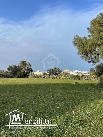 2 lots de terrain vue de mer à vendre à Jinen Béni Khiar 51355351