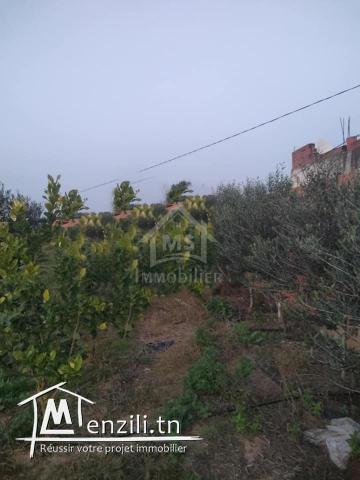 Terrain clôtuiré de 13337 m² à Béni Khiar à vendre 51355351