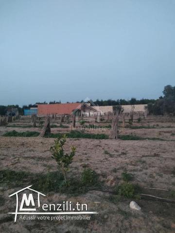 Terrain clôtuiré de 13337 m² à Béni Khiar à vendre 51355351