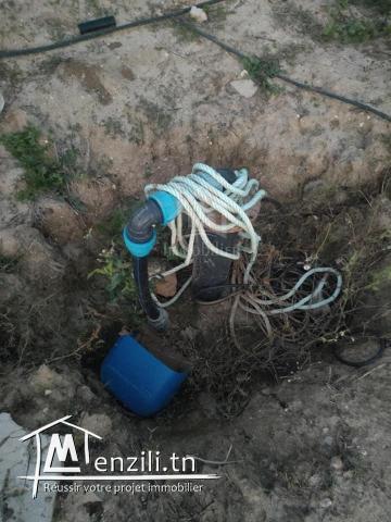 Terrain clôtuiré de 13337 m² à Béni Khiar à vendre 51355351