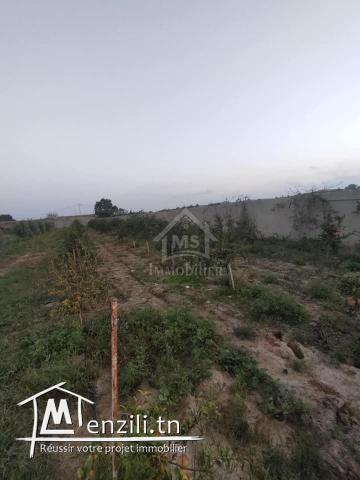 Terrain clôtuiré de 13337 m² à Béni Khiar à vendre 51355351