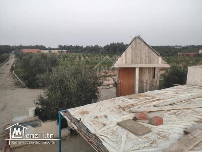 Terrain clôtuiré de 13337 m² à Béni Khiar à vendre 51355351