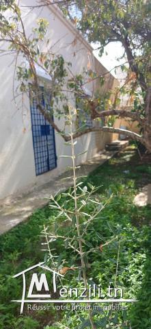 MAISON A VENDRE A MORNEG