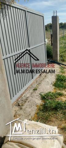 terrain agricole à vendre