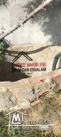 terrain agricole à vendre