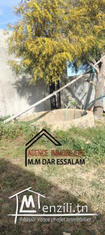 terrain agricole à vendre