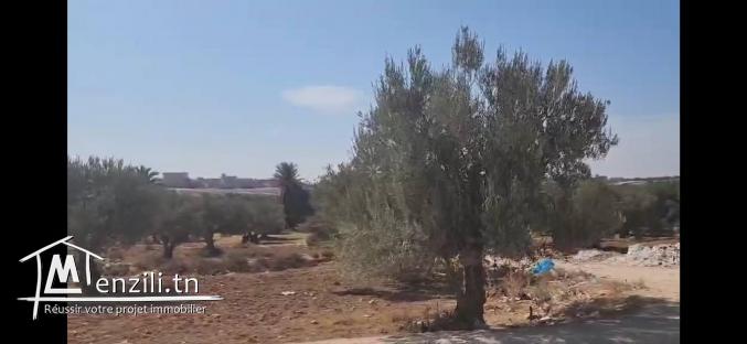 À vendre : Terrain nu de 1076 m²