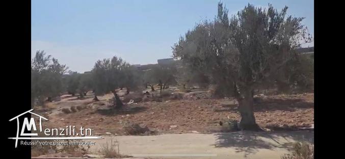 À vendre : Terrain nu de 1076 m²