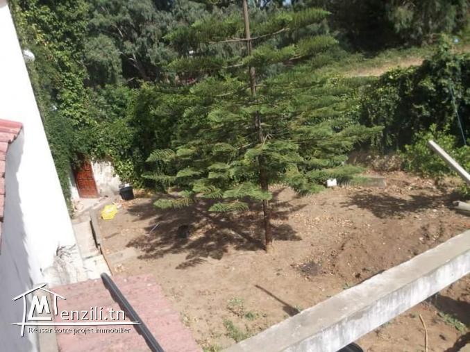 Maison duplex avec fond de commerce