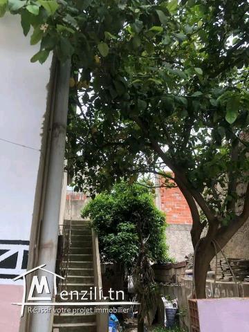 Maison a khalidia فرش العنابي