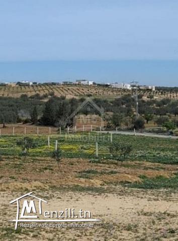 Terrain de 2851 m² à Hammamet Sud à vendre à 185 MD 51355351