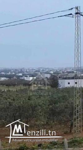 Terrain de 2851 m² à Hammamet Sud à vendre à 185 MD 51355351