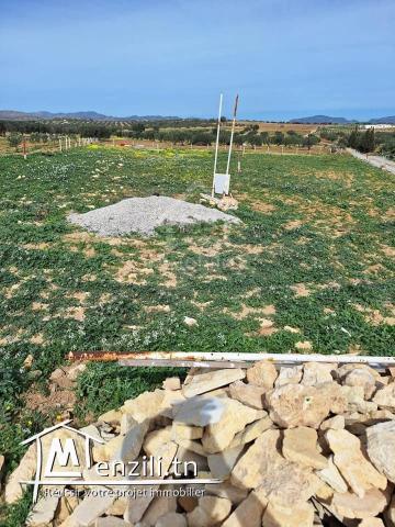 Terrain de 2851 m² à Hammamet Sud à vendre à 185 MD 51355351