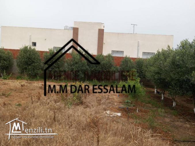 500 m² à vendre à dar allouche