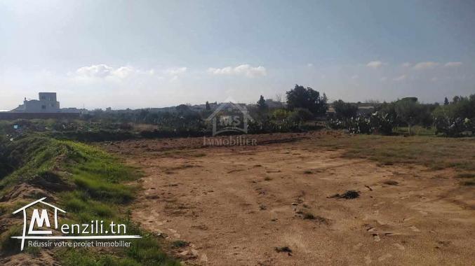 Terrain de 1932 m² à Birbouragba à vendre 51355351