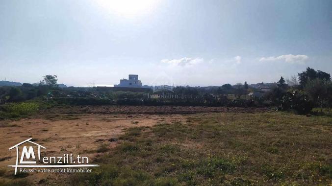 Terrain de 1932 m² à Birbouragba à vendre 51355351