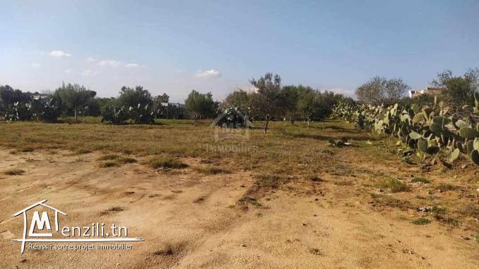 Terrain de 1932 m² à Birbouragba à vendre 51355351