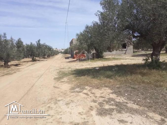 Terrain de 150 m² à vendre à Hammamet Sud 51355351