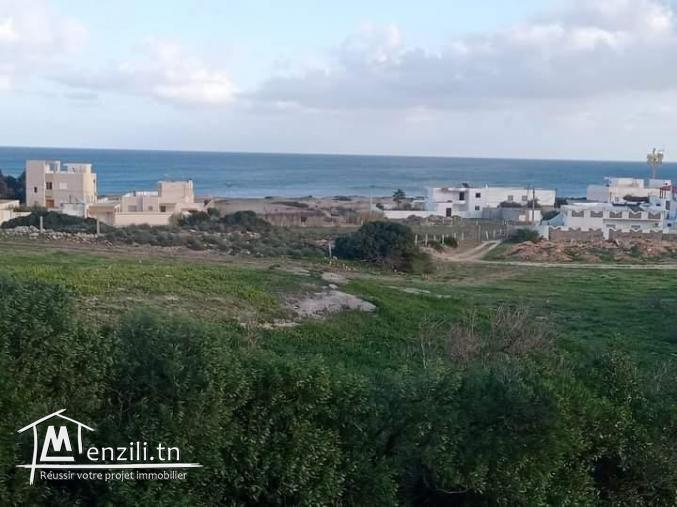 une villa prés de la plage sableuse à chat geubli el el haouaria
