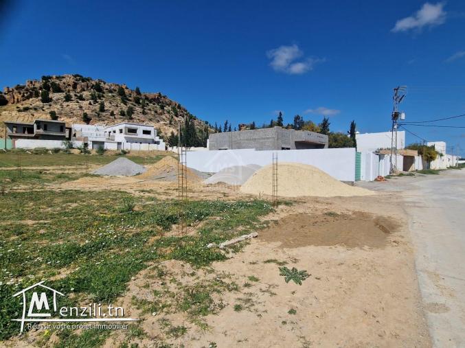 51355351للبيع أرض صبغة سكنية في الحمامات الجنوبية