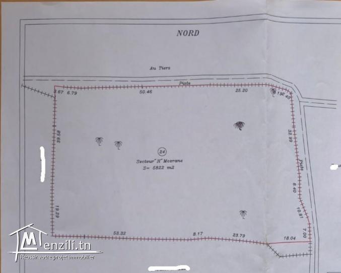 Vente Terrain Agricole – Dar Bidha Mozrane Adjim