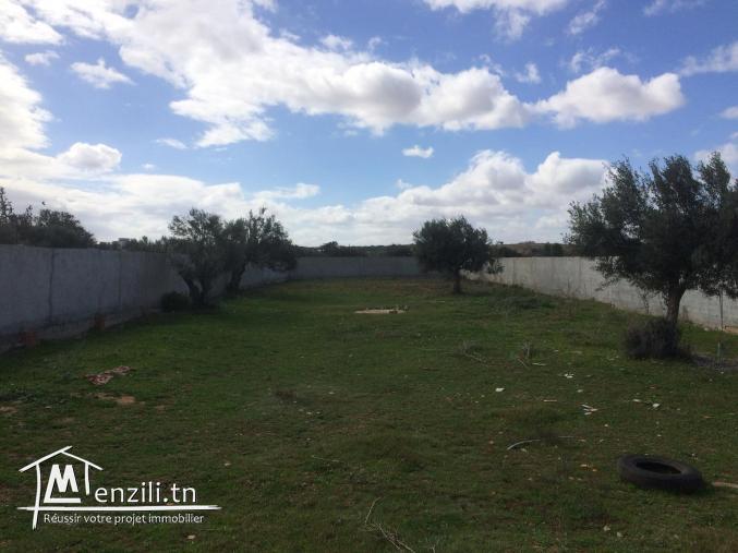 terrain a vendre de 1486 m2