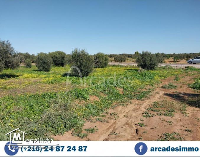 أرض فلاحية للبيع ببو عثمان المنستير