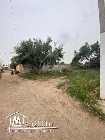 Lot de terrain de 250 m² à Hammamet à vendre 51355351