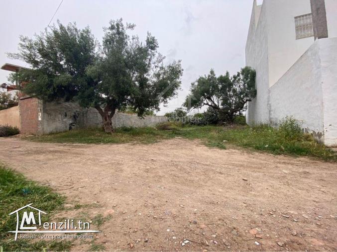 Lot de terrain de 250 m² à Hammamet à vendre 51355351