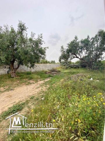 Lot de terrain de 250 m² à Hammamet à vendre 51355351