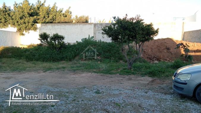 Un lot de terrain de 500 m² à Hammamet à vendre 51355351
