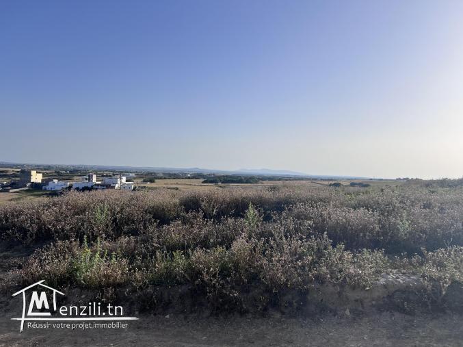 Terrain idéal à deux pas de la mer el haouaria