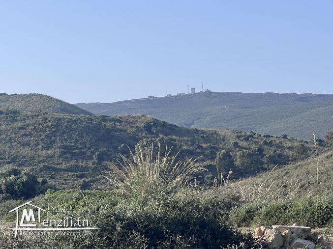 Terrain idéal à deux pas de la mer el haouaria