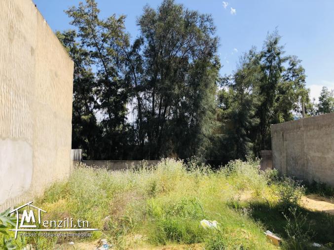 Terrain à vendre / 99 101 201 - 98 547 676