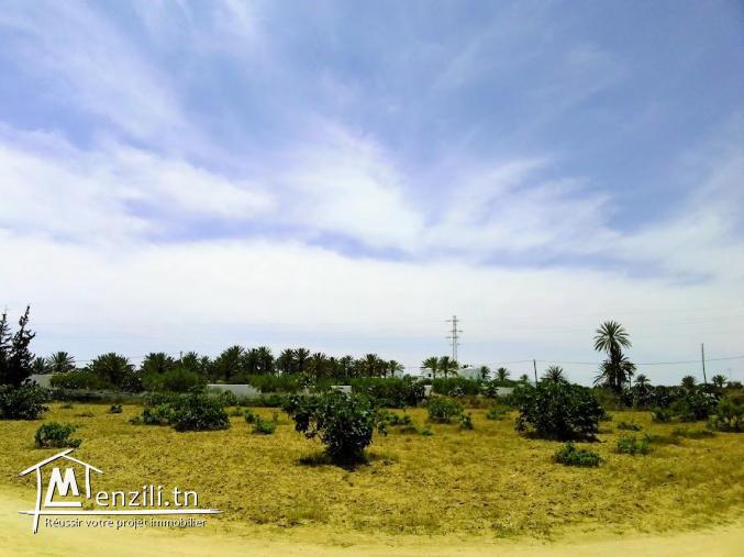 A vendre un magnifique terrain a sedghiane , midoun djerba 2660 m carré