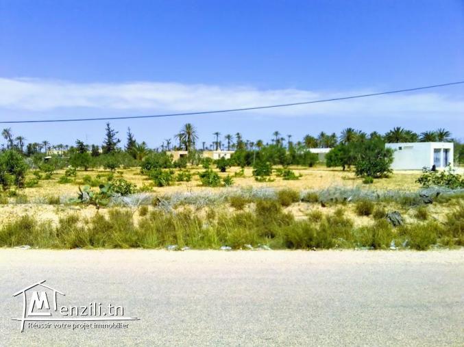 A vendre un magnifique terrain a sedghiane , midoun djerba 2660 m carré