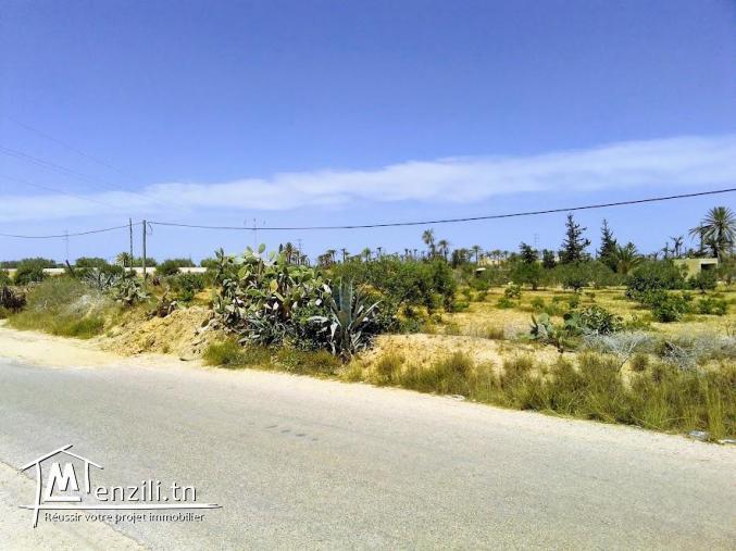 A vendre un magnifique terrain a sedghiane , midoun djerba 2660 m carré