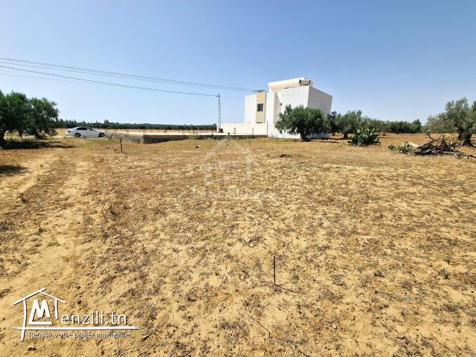 Lot de terrain de 200 m² à Hammamet Sud à vendre 51355351