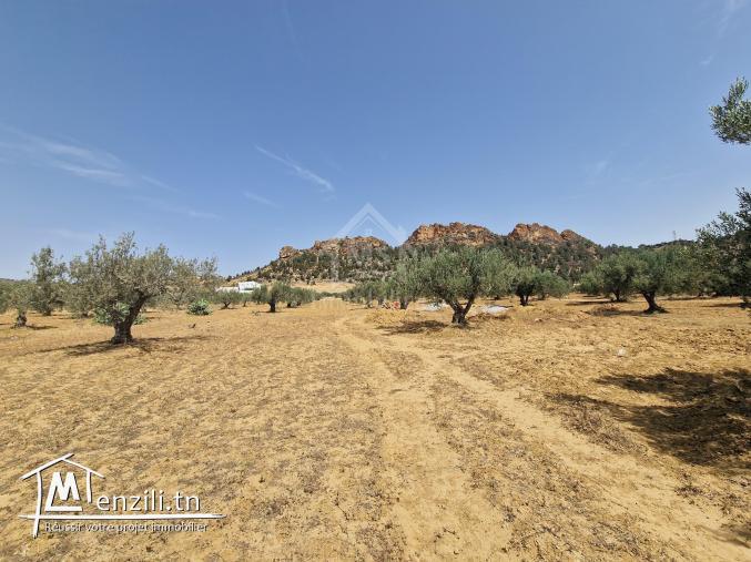 Lot de terrain de 200 m² à Hammamet Sud à vendre 51355351